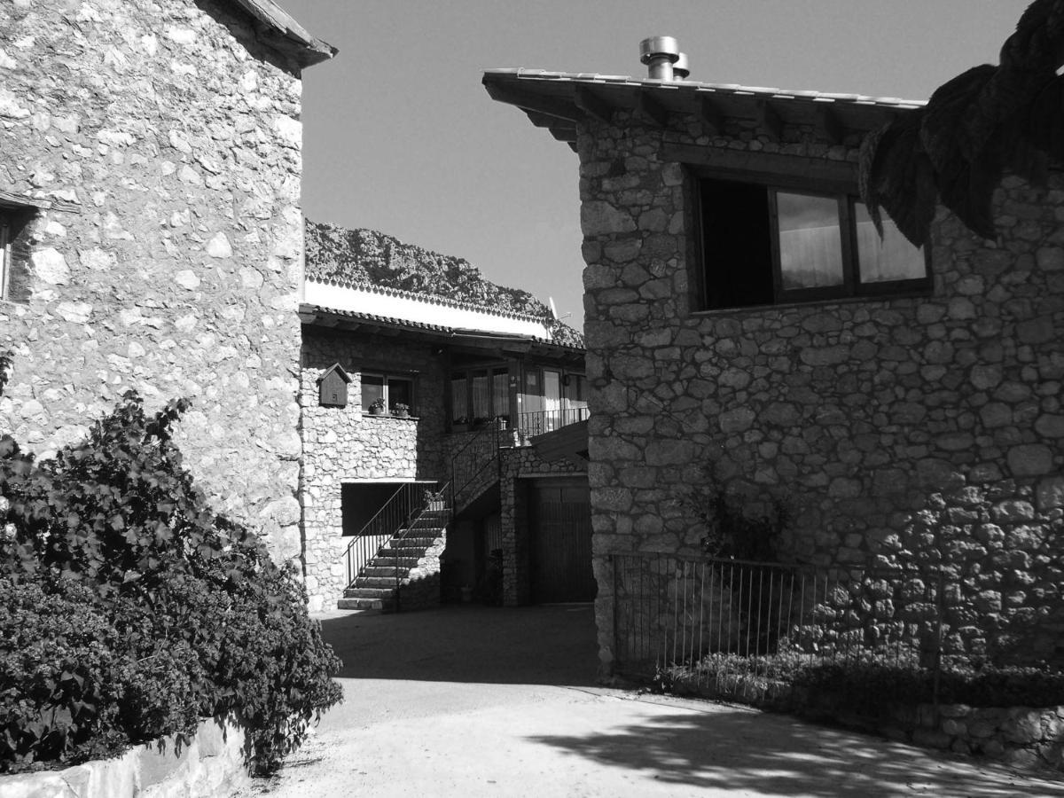 Apartment Cal Borda